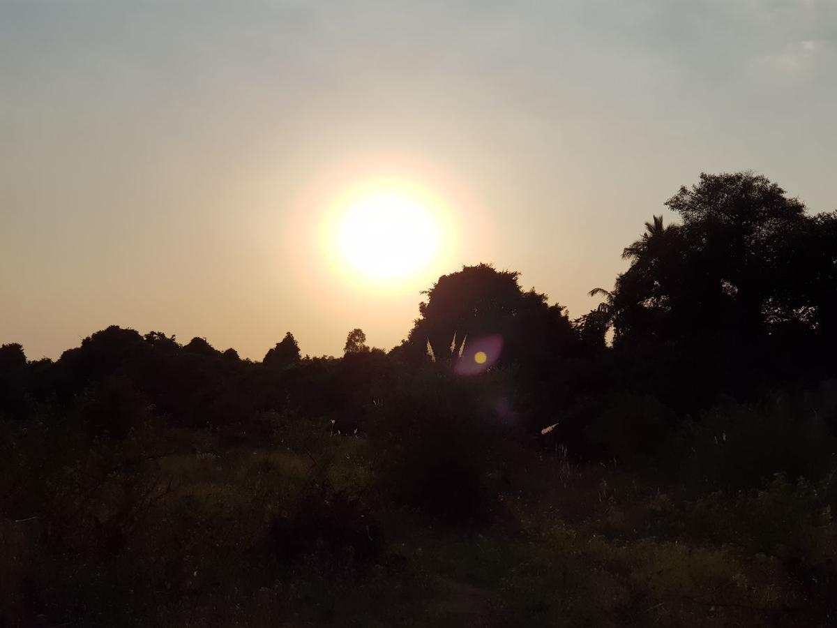 Hiran Holidays Szaszan Gir Kültér fotó